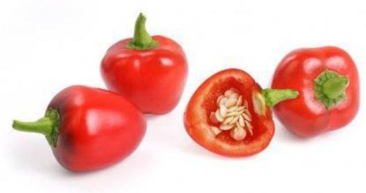  VÉRITABLE® Lingot s BIO semeny Červená paprika pro chytré květináče
